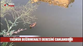 YAĞMUR DEĞİRMENALTI DERESİNİ CANLANDIRDI